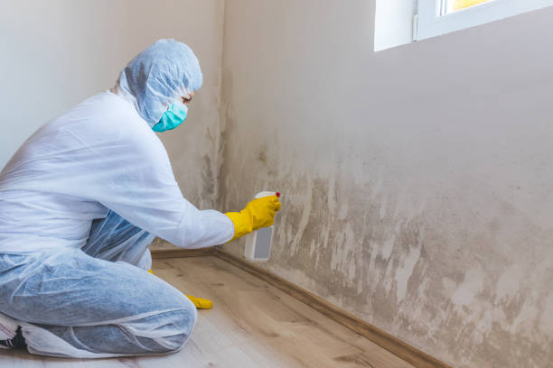 Licensed Crawl Space Mold Removal service in Elkridge, MD - WQB Mold Removal