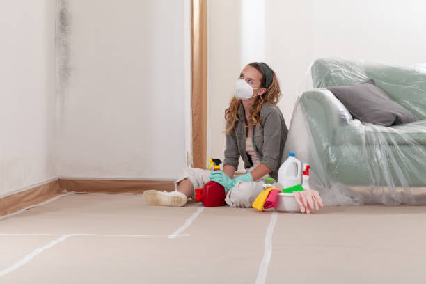 Reliable Crawl Space Mold Removal contractor in Elkridge, MD by WQB Mold Removal